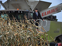 В 2016 году в Калининградской области зафиксирован резкий провал по урожайности (список)