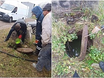 Мэрия предупредила о смене цвета воды в Калининграде