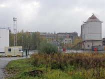 Арендатор короотвала «Цепрусса» корой вообще не занимается 