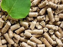 В Калининградской области будут производить биоуголь