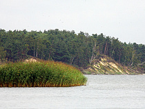 Балтийской косе придадут новый статус