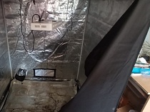 В Советске полицейские закрыли тепличное нарко-производство