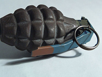 В Калининградской области потушили 5 пожаров и нашли одну гранату - МЧС