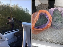 В майские праздники на браконьеров наложили штрафы на 283 тысячи рублей