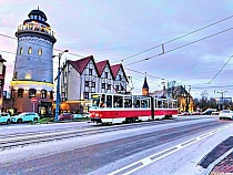 Заморозки в Калининградской области отложили до Нового года