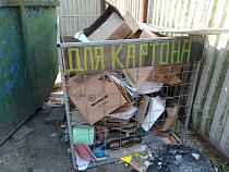 Медведев поручил возвращать деньги гражданам, разделяющим мусор