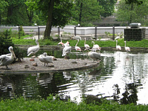 Русский Запад опекает экзотических птиц Калининградского зоопарка