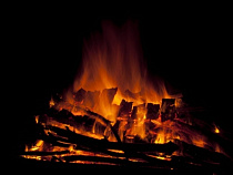 В Калининграде уничтожено 130 тысяч условных доз наркотиков