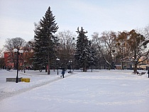 Когда в Калининградской области закончатся доставшие всех морозы