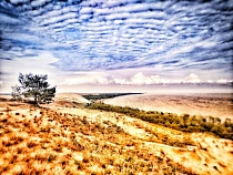 Названо самое незабываемое место для селфи в Калининградской области