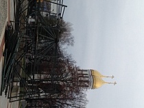 В Калининграде ставят новогоднюю елку