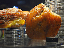 Разъяснены критерии признания «чёрными копателями» добытчиков янтаря в Калининградской области