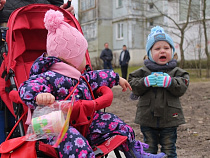 25% "палёной" молочной продукции находят в школах и детсадах