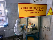 Калининградский моряк привёз коронавирус 