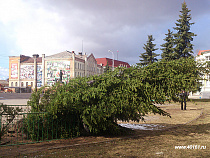 На востоке Калининградской области ветер повалил главную елку города
