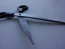 Многодетный отец отрезал косу белорусу и убил его 