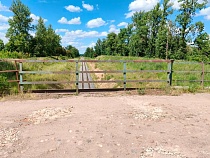 Назван самый нетерпимый к мату район Калининградской области