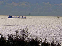 Что случилось 22 июля 2016 года: ФАС против Ярошука, косуля в микроавтобусе и возвращение МПП с Польшей