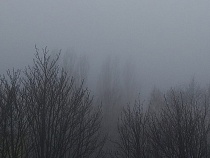 Опасный туман в Калининграде сменится дождём