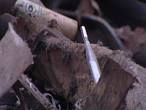 Работники калининградского ЦБК и прилегающих предприятий едва не стали жертвами отравления парами ртути