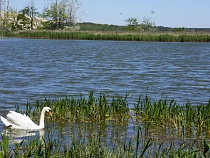 Туристов завлекают на Куршскую косу бесплатными экскурсиями