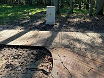 Заключённых отправят поработать в парк немецкой усадьбы под Калининградом