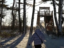 На Куршской косе предупредили о возможном удорожании въезда