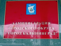 Калининград потратит 5 млн рублей на проект школы бокса