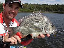 Лещ уйдет из Калининградской области