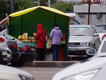 Дятлова призвала жителей Калининграда к отказу от покупок на улицах