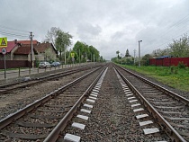 Под Гвардейском поезд сбил лося насмерть
