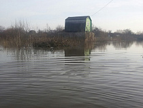 Под Калининградом ушло под воду целое СНТ (видео)