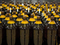 Пиво простится с пластиком