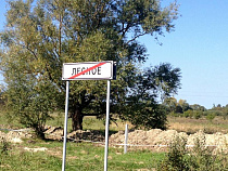 При пожаре в жилом доме в поселке Лесное пострадал человек