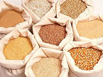 По итогам проверки калининградских переработчиков зерна Россельхознадзор составил 15 административных протоколов