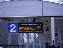 В поезде «Светлогорск — Калининград» на девочку напал 42-летний маньяк