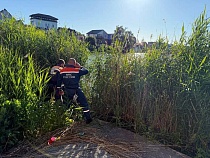 В дачном обществе под Калининградом утонула девочка 