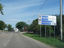 В Калининградской области найдено место диких полей моркови