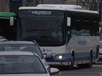 Раскрыт масштаб заражений на транспорте и в общепите Калининграда