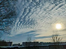 Потепление в Калининградской области стало неизбежным