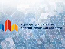 «Корпорация развития Калининградской области» может потерять 80 миллионов рублей