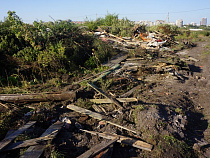  Публичные слушания по изъятию земли у садоводов на Острове не имели юридической силы