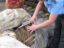 С начала года Россельхознадзор выявил более 34 тыс. тонн некачественной зерновой продукции