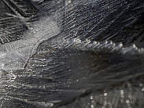 Упавшая на скользком тротуаре в Зеленоградске женщина отсудила 100 тыс. рублей