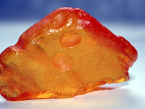 В окрестностях поселка Надеждино задержано 13 «черных копателей» янтаря