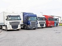 В Калининградскую область ввезли 300 тысяч саженцев из-за границы 