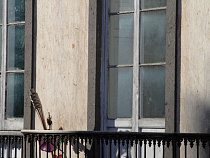 В Озерске незакрытое окно балкона стало причиной квартирной кражи