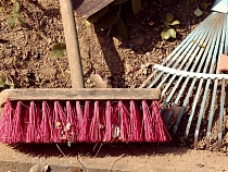 В Калининграде проведут тотальный субботник