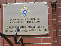 Двое полицейских ради высоких показателей закладывали взрывные устройства 