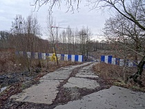 «В основном самосев»: Алиханов о вырубке у парка в Калининграде 